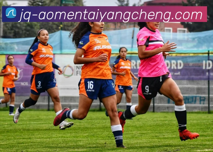 多媒体互动体验